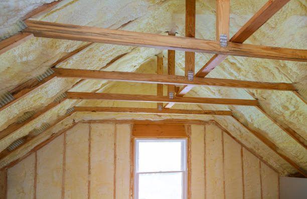 Best Eco-Friendly Insulation in Salisbury, MO